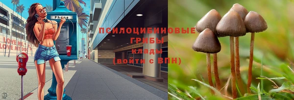 MDMA Медногорск