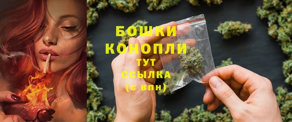 ГАЛЛЮЦИНОГЕННЫЕ ГРИБЫ Медвежьегорск